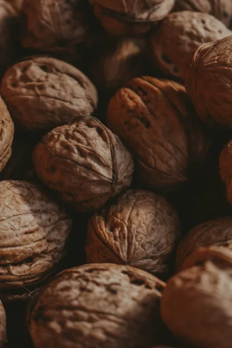 Close-up of whole in-shell walnuts